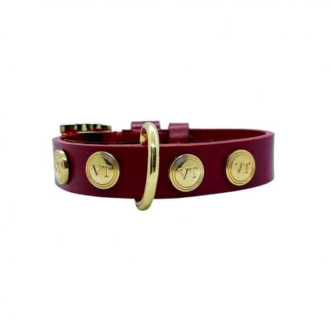 Dog Collar Image