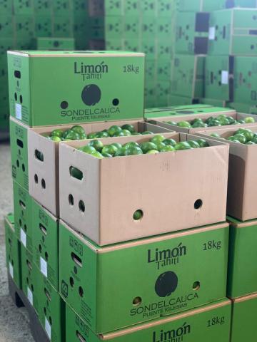 Tahiti Lime Image