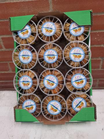 Goldenberries - Physalis berries Image