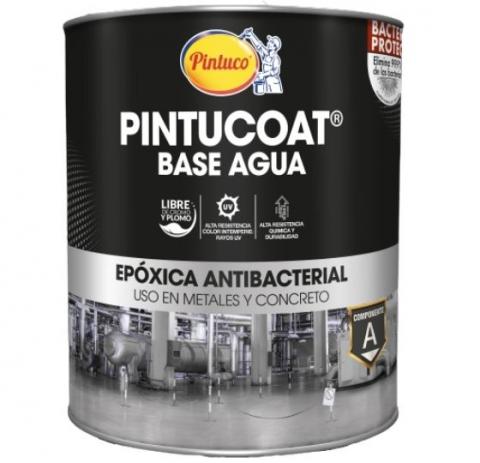 Pintucoat Water Base Antibacterial Image