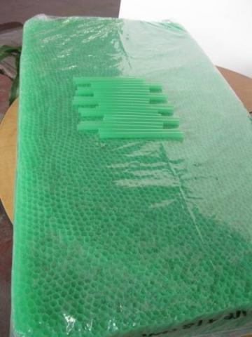 BUD NET FOR FLOWERS ( PLASTIC NET) Image