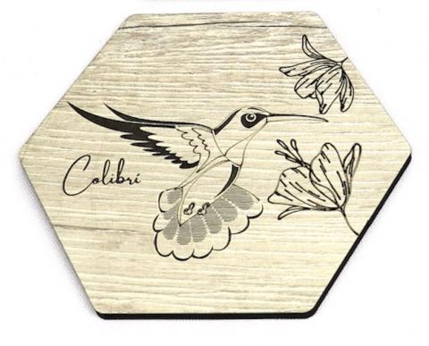 COASTERS Image