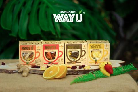 Ginger Infusions Presentation. Image