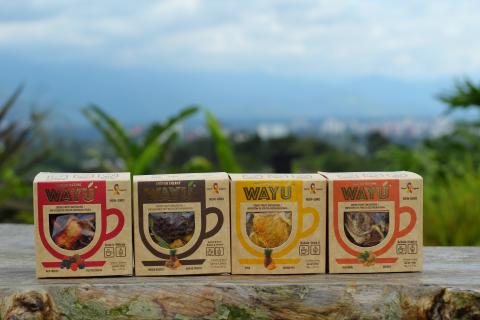 Pineapple Infusions Presentation. Image