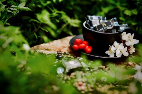 macondo coffee cubes Image