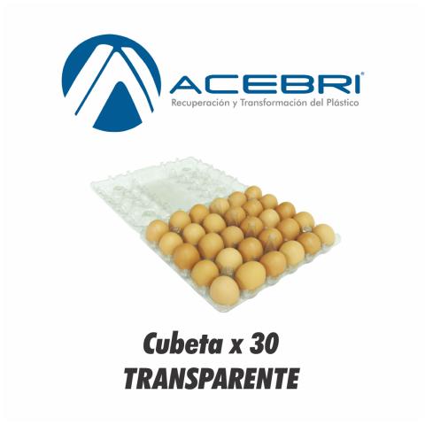 290 Egg Packaging x 30 - Transparent Image