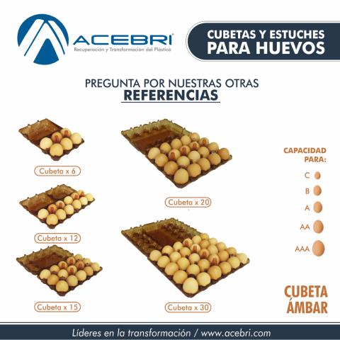 290 Egg Packaging x 30 - AMBAR Image