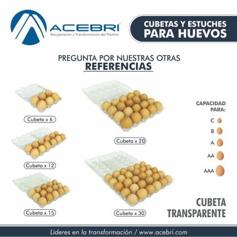 290 Egg Packaging x 30 - Transparent Image