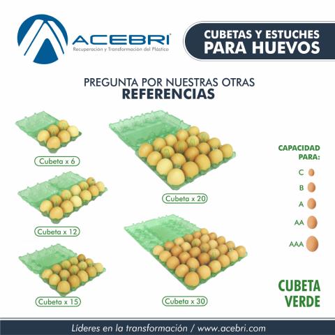 290 Egg Packaging x 30 - Green Image