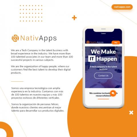 Custome software development and staff augmentation services Image