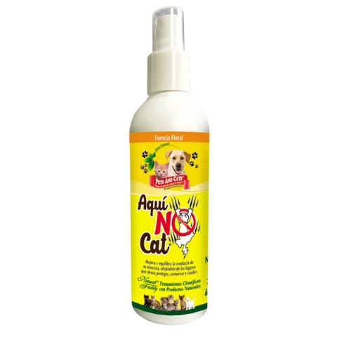 P&C AQUI NO CAT® Image