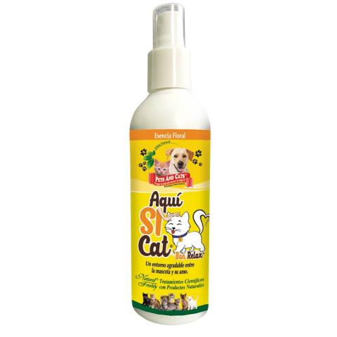 P&C AQUI SI CAT® Image