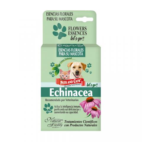 P&C ESSENCE ECHINACEA Image