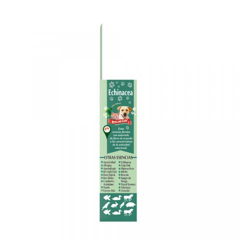 P&C ESSENCE ECHINACEA Image