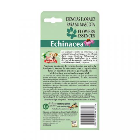 P&C ESSENCE ECHINACEA Image