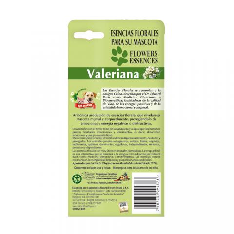 P&C ESSENCE VALERIAN Image