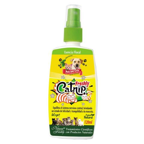P&C FRESHLY CATNIP® Image