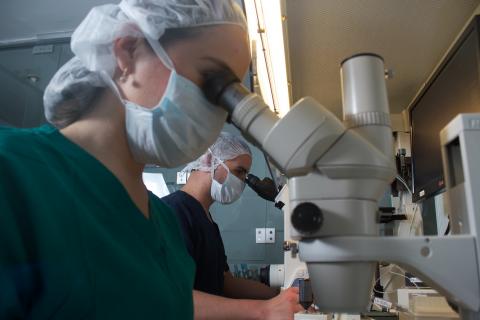 Specialists in fertility diagnosis and treatments Image