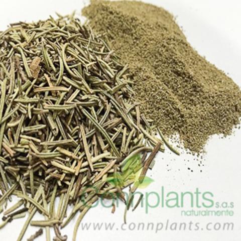Rosemary Image