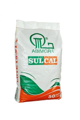 Sulcal Abimgra Image