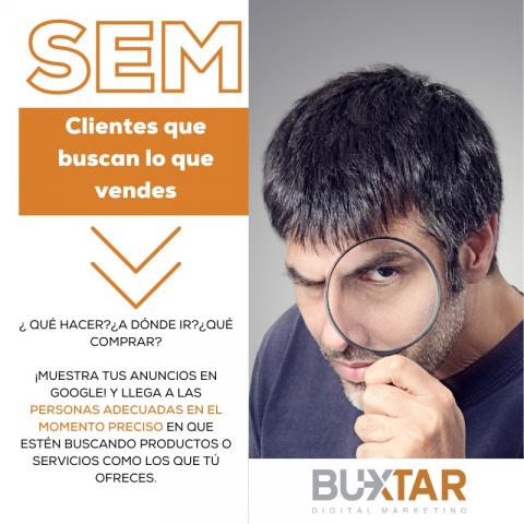 SEM Image