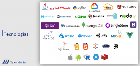 Development of customized technological solutions Image