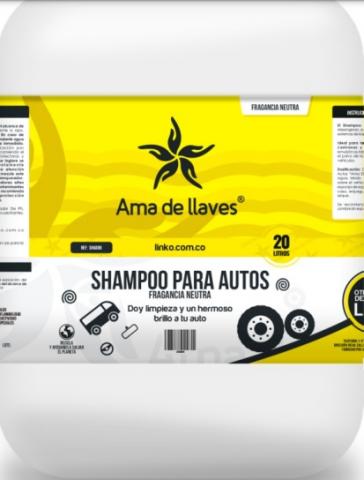 SHAMPOO for cars Image
