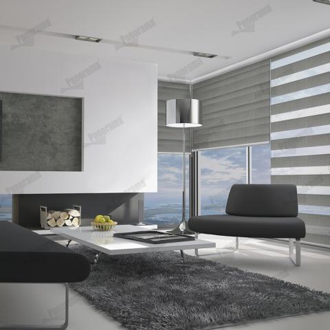 Zebra Image
