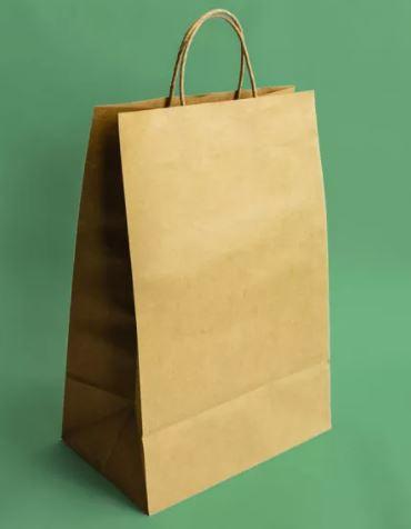 Kraft paper bags Image