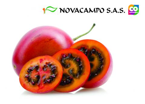 Tamarillo Image