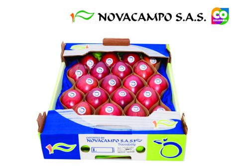 Tamarillo Image
