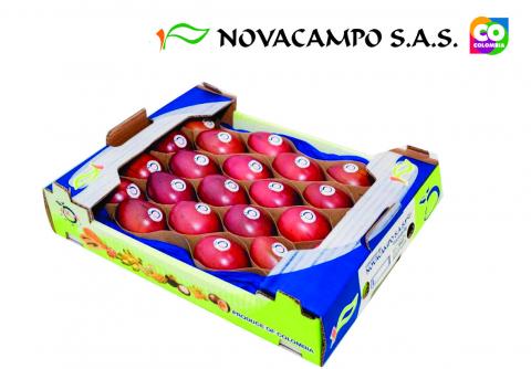 Tamarillo Image