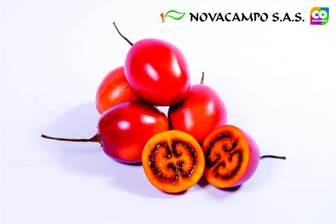 Tamarillo Image