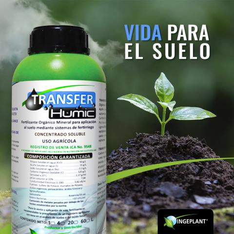 Transfer Humic Image