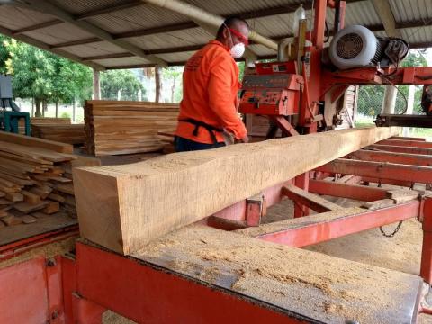 Teak wood blocks Image