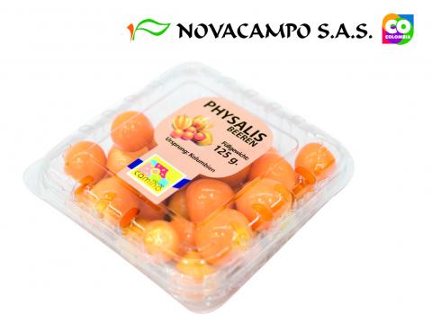 Physalis Beeren Image