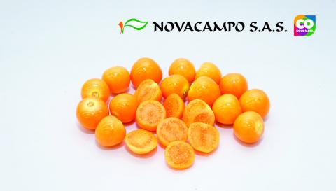 Physalis Beeren Image