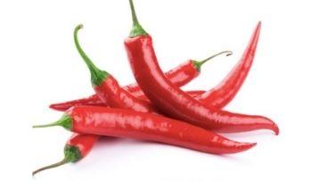 Cayenne chili pepper (red) Image