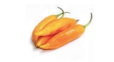 Peruvian Yellow Image