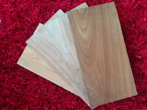 Woods Saman (Raintree), teak, balsamo, cumaru Image