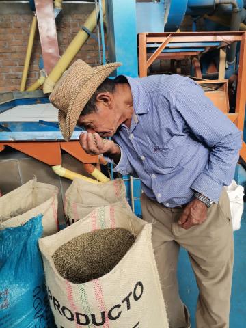 Green Coffee Bean - Standard and Specialty Image