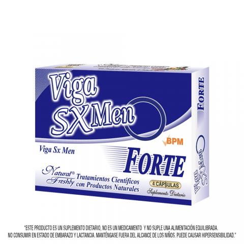 VIGA Image