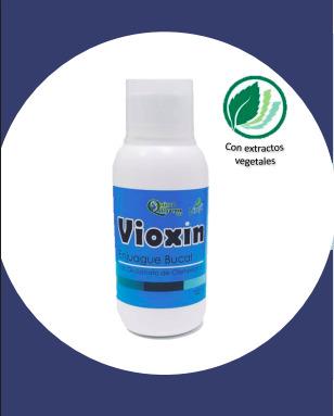 MOUTHWASH - VIOXIN WITH GLUCONATE AND CHLORHEXIDINE Image