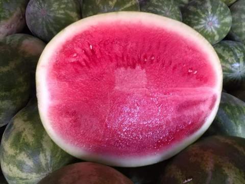 Watermelon Image