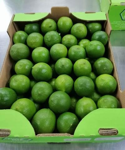 Organic Tahiti Lime Image
