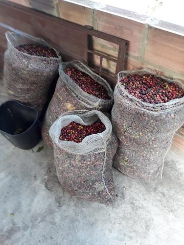 ROASTED AND PACKAGED COFFEE Image