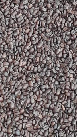 ROASTED AND PACKAGED COFFEE Image