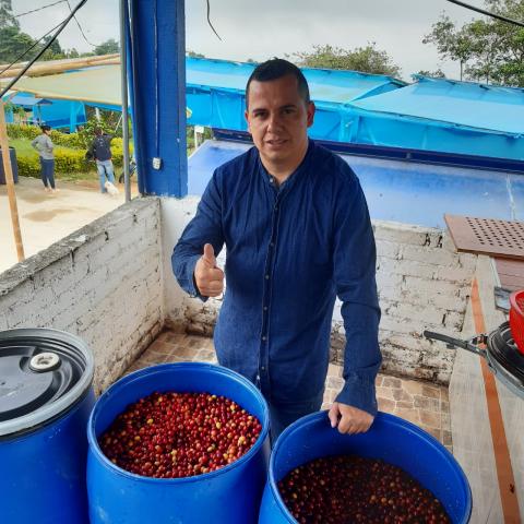 Green coffee beans Image