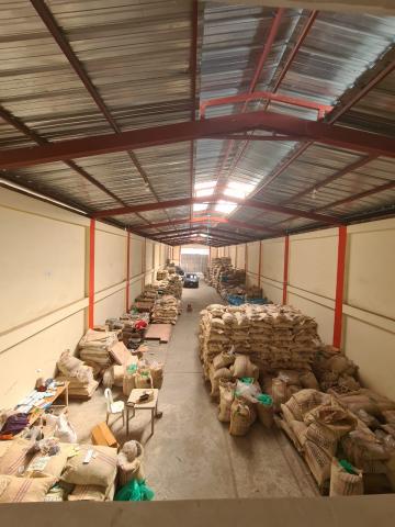 Green coffee beans Image