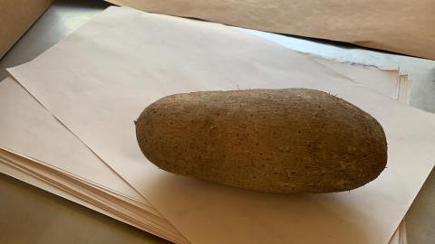 Yam Image